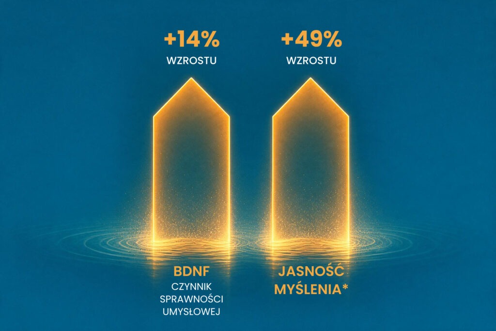 Sprawność umysłu
